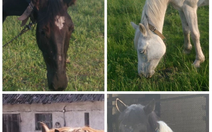 Zbiórka Cztery życia jeden cel - zdjęcie główne