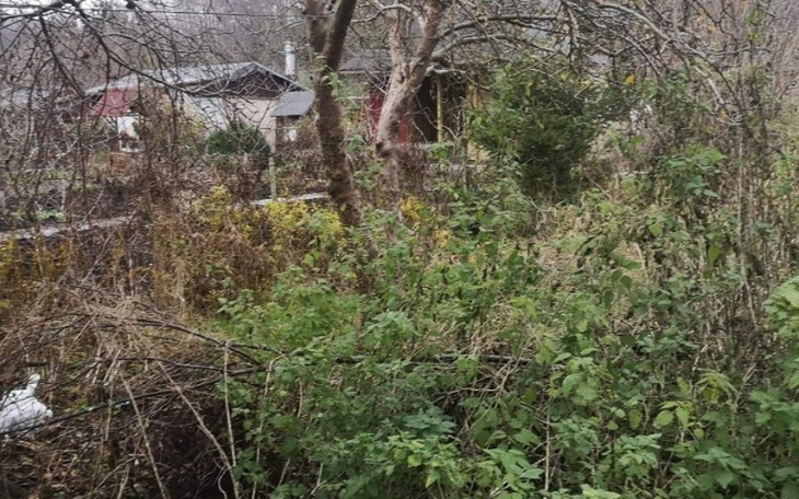 Zbiórka Na odbudowę spalonego domu. - zdjęcie główne