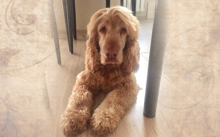 Zbiórka Na pomoc w nowym domu - zdjęcie główne