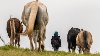 Zbiórka Pomóż nam pomagać dalej. - miniaturka zdjęcia