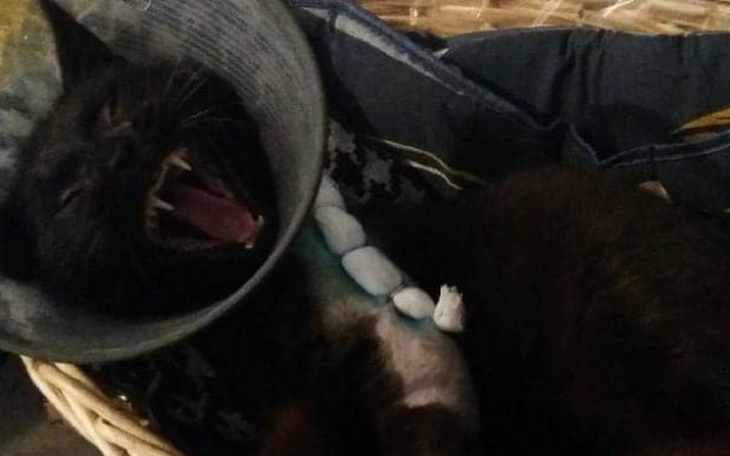 Zbiórka Tak bardzo mnie boli. Dlaczego? - zdjęcie główne