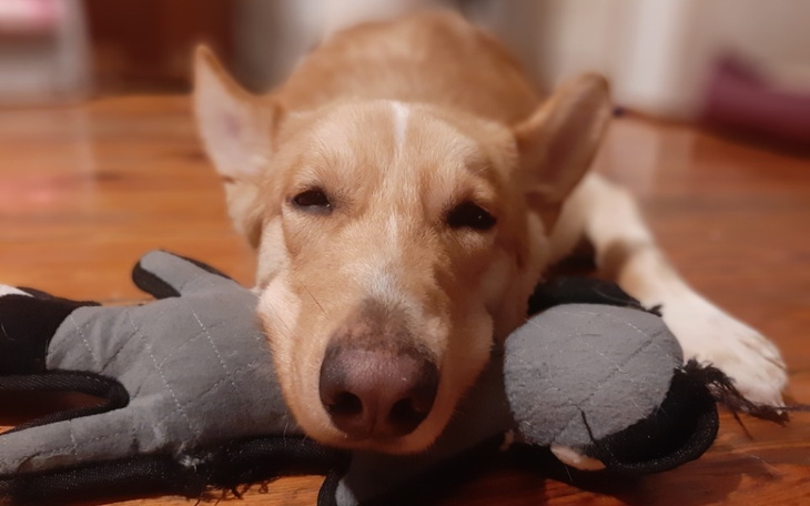 Zbiórka Na życie mojego przyjaciela - zdjęcie główne