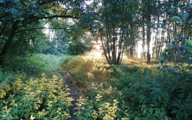 Zbiórka Całe życie pomagałem - zdjęcie główne