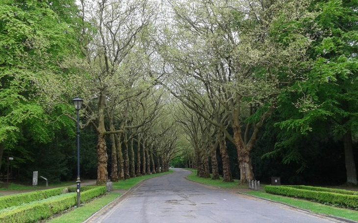 Zbiórka Ocalmy pamięć o przodkach - zdjęcie główne