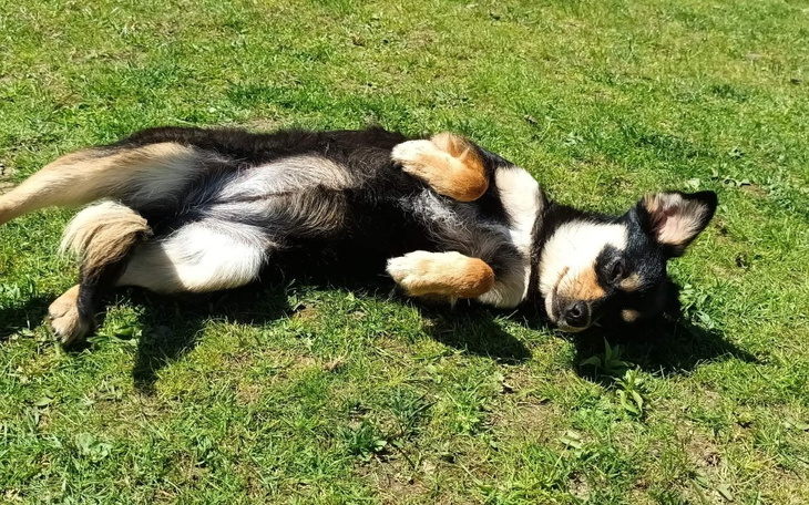 Zbiórka Na dalsze działanie i pomoc - zdjęcie główne