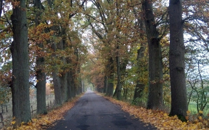 Zbiórka Wyruszyć w swiat - zdjęcie główne