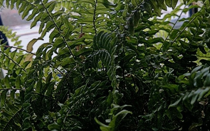 Zbiórka na kolonie w dąbkach - zdjęcie główne