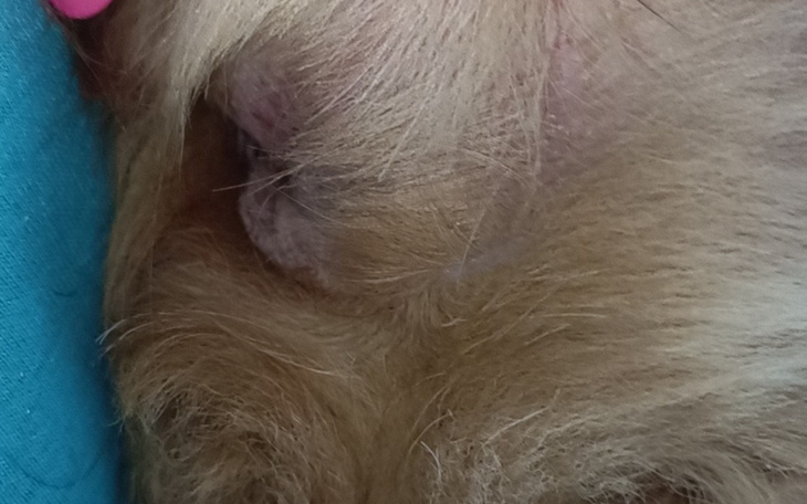 Obrazek ilustrujący działania wspierające zdrowie psychiczne.