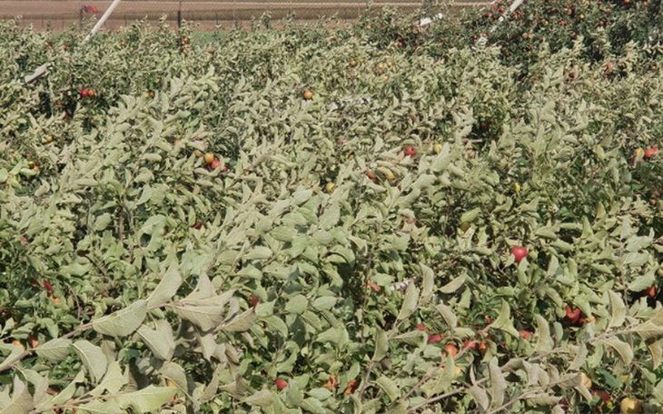 Zbiórka Dramat rolnika! - zdjęcie główne