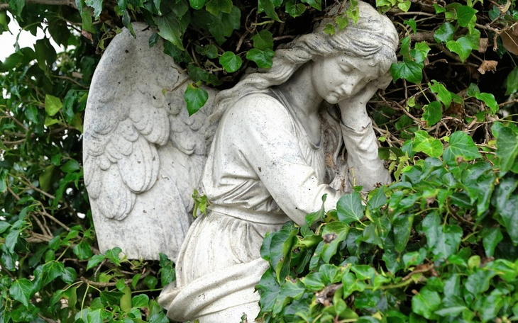 Zbiórka Na wrócenie Piotra do domu - zdjęcie główne