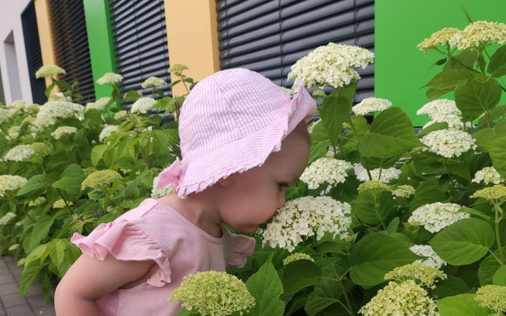 Zbiórka Rehabilitacja i leczenie Oliwki - zdjęcie główne