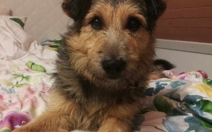 Zbiórka Pobyt i szkolenie Kubusia - zdjęcie główne