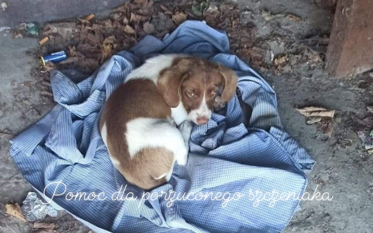 Zbiórka Na start, na lepsze życie - zdjęcie główne