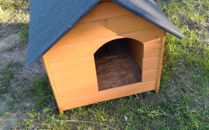 Zbiórka Zbiórka na budy dla psów - zdjęcie główne