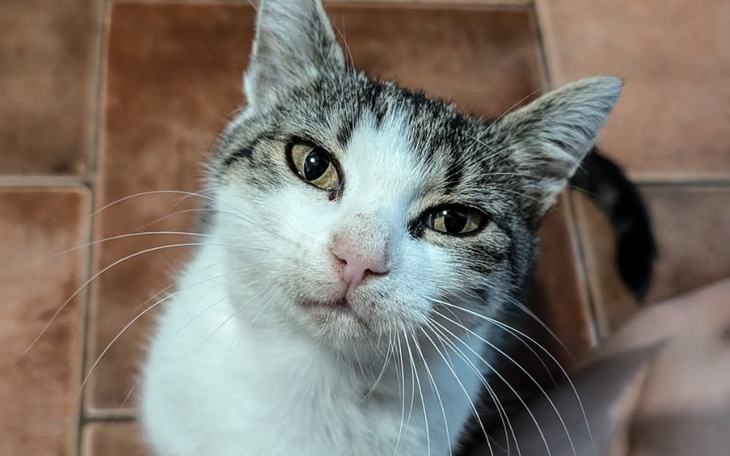 Zbiórka Zostały jej 2 lata - zdjęcie główne