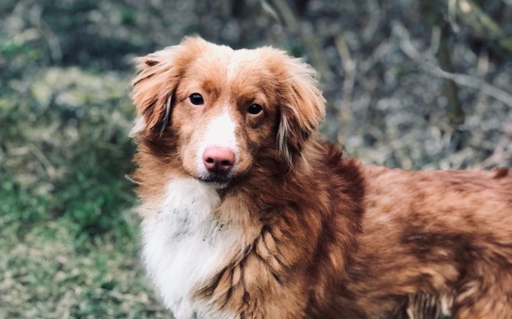 Zbiórka Fred - diagnostyka i leczenie - zdjęcie główne