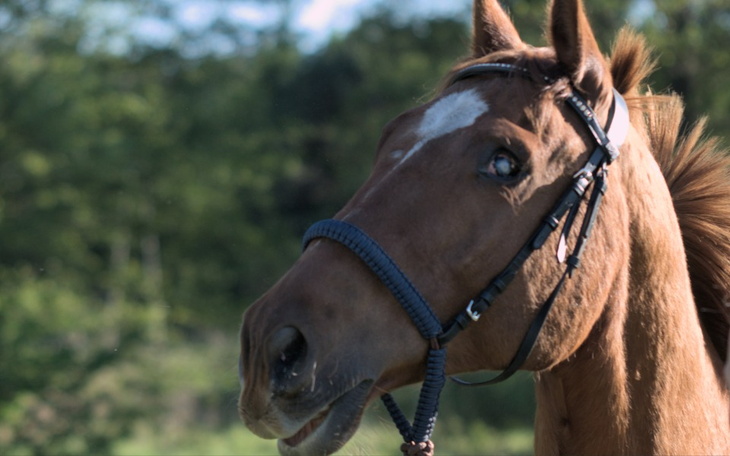 Zbiórka Stracić by zyskać-oczy za spokój - zdjęcie główne