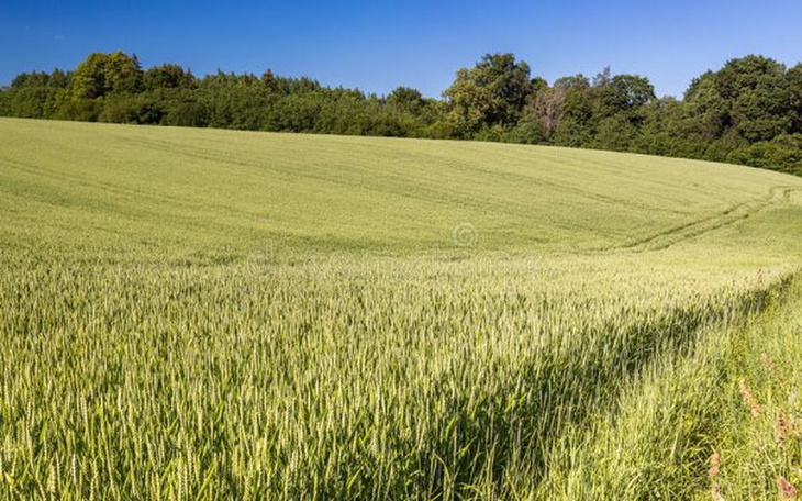 Zbiórka Przyjaciele pomóżcie zbudować do - zdjęcie główne