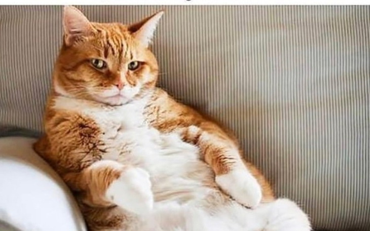 Zbiórka Test dobrobytu państwa - zdjęcie główne