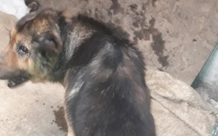 Zbiórka Dramat Misia - zdjęcie główne