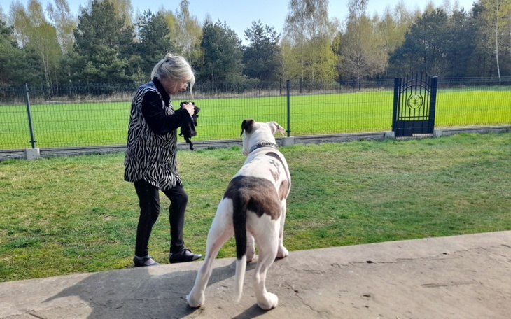 Zbiórka Dom i jedzenie - zdjęcie główne