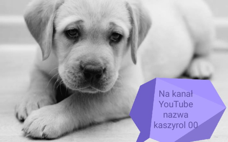 Zbiórka Na wsparcie kanału na YouTube - zdjęcie główne