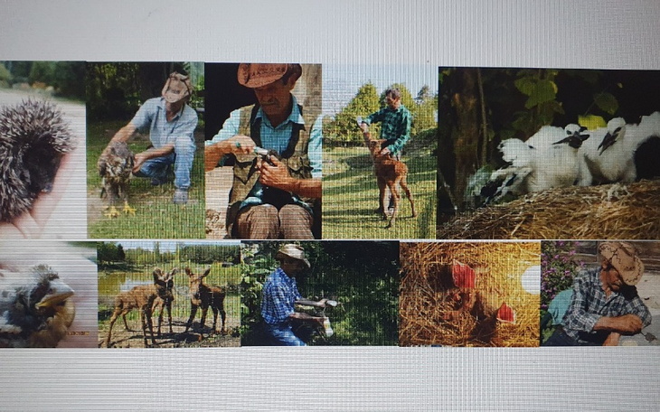 Zbiór zdjęć przedstawiających pracę z różnymi zwierzętami.