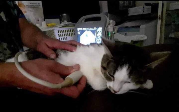 Zbiórka z dnia na dzień jest gorzej - zdjęcie główne