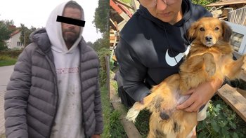 Zbiórka Złamany kręgosłup, guz i setki pcheł. Ratujemy Perełkę... - miniaturka zdjęcia