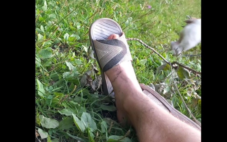 Zbiórka zbieramna14promaxjestembiedna - zdjęcie główne