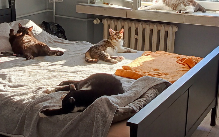 Zbiórka Żeby podnieść się - zdjęcie główne