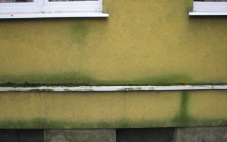 Zbiórka karcher k7 Elewcja - zdjęcie główne