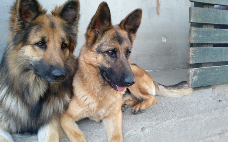 Zbiórka Oszust - zdjęcie główne