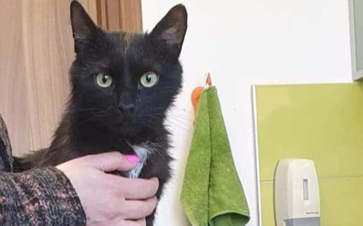 Zbiórka DIAGNOSTYKA Maniusia- CHŁONIAK - zdjęcie główne