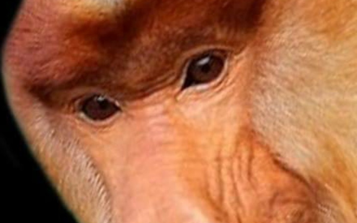 Zbiórka Na jedzenie dla dziecka - zdjęcie główne