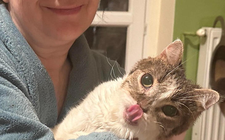 Zbiórka Na przetrwanie lutego 2024 - zdjęcie główne