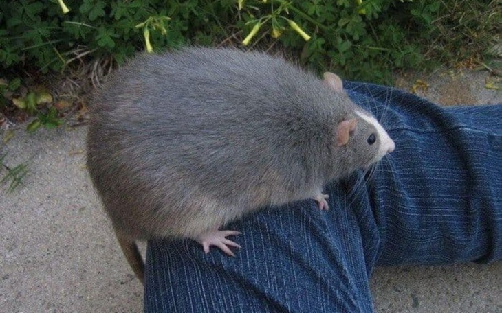 Zbiórka Ucieczka z domu rodzinnego - zdjęcie główne