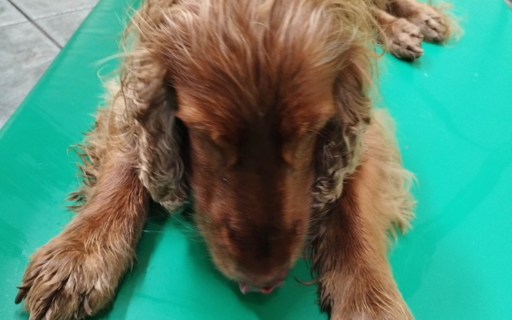 Zbiórka Najpierw czerniak,teraz babejszj - zdjęcie główne