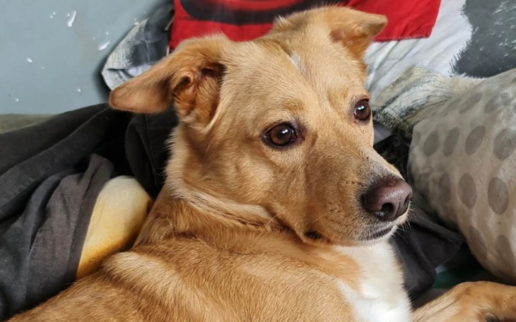 Zbiórka Niestety się nie udało - zdjęcie główne