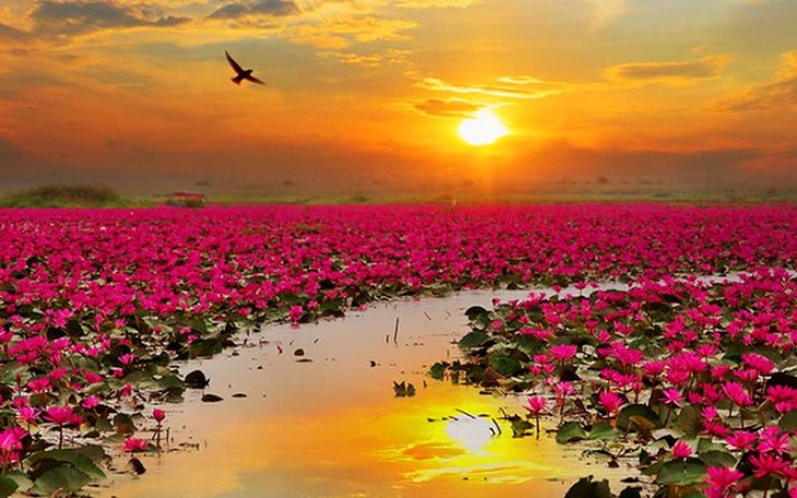 Zbiórka chciałbym coś w końcu mieć :((( - zdjęcie główne