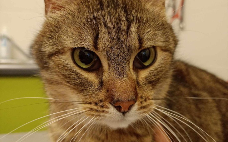 Zbiórka Na rezonans dla Sztygarka - zdjęcie główne