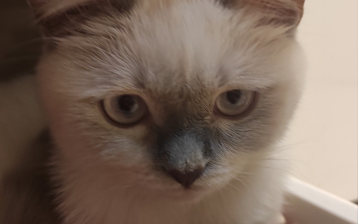 Zbiórka Leczenie Naszego Axelka - zdjęcie główne