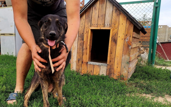 Zbiórka Baster zbiera na Pana Doktora - zdjęcie główne