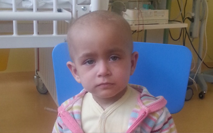 Zbiórka Jagódka-życie pełne walki... - zdjęcie główne