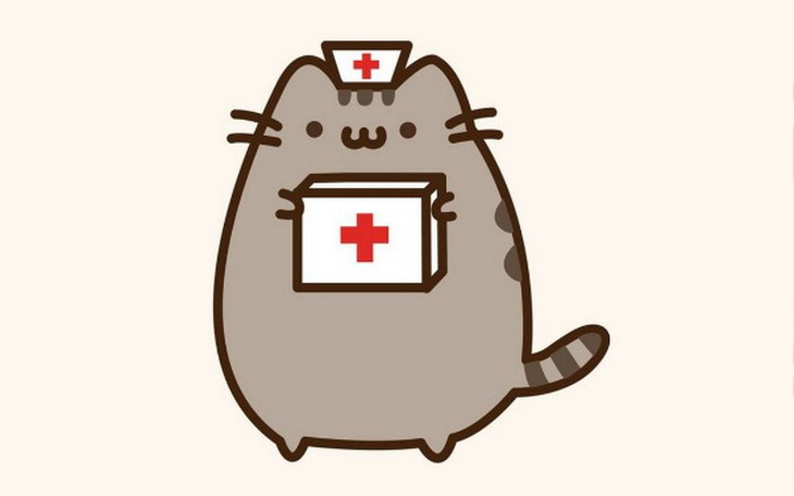 Zbiórka Koci szpitalik i psi dom seniora - zdjęcie główne