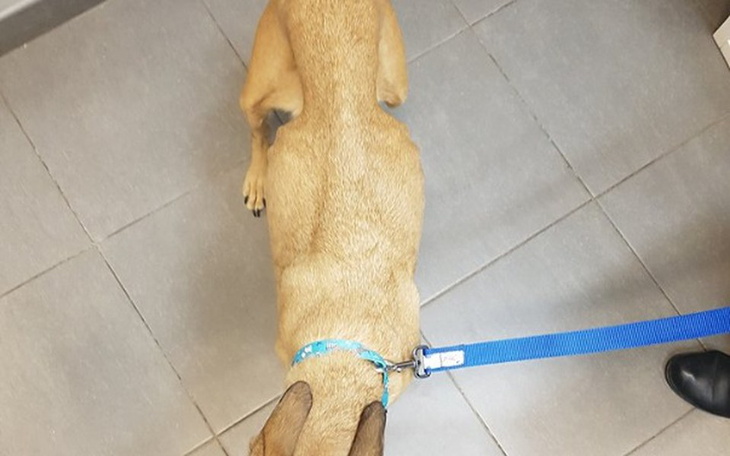 Zbiórka Sara niknie w oczach :( - zdjęcie główne