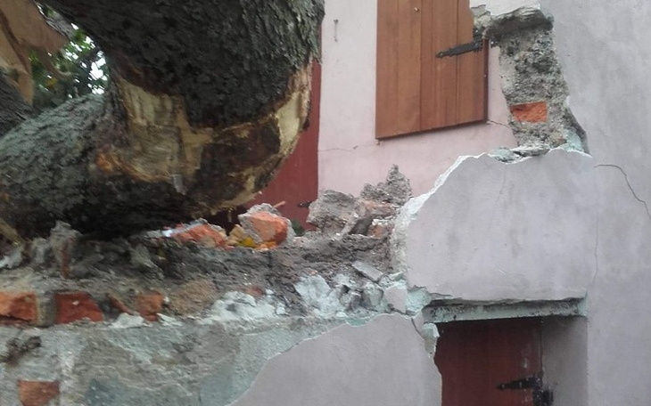 Zbiórka Odbudowa po wichurze - zdjęcie główne