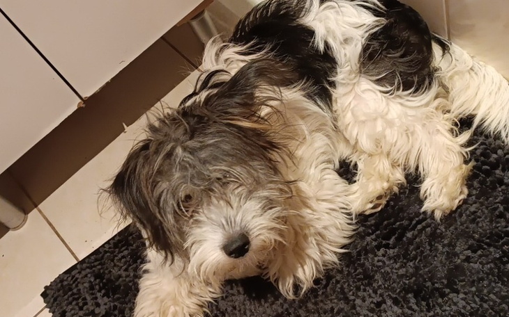 Zbiórka Wyjście na prostą ... - zdjęcie główne