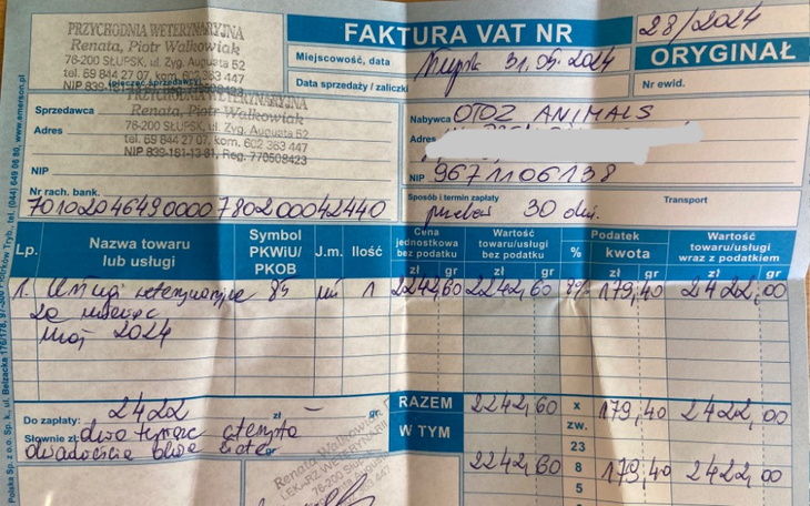 Zbiórka Musimy opłacić fakturę za maj - zdjęcie główne