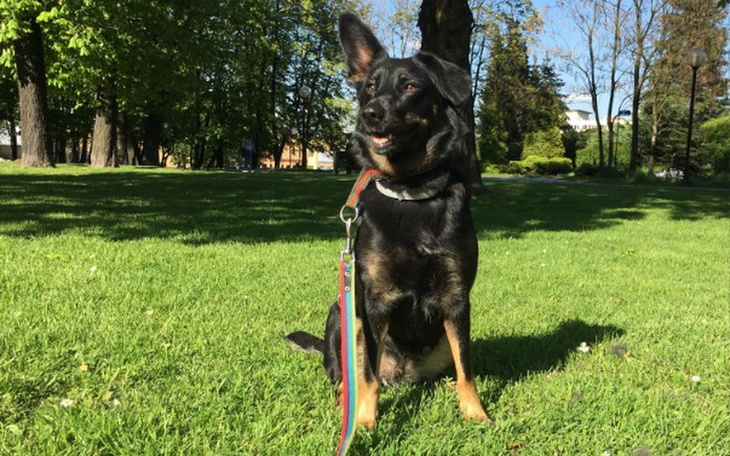 Zbiórka Postawmy Szeklę na nogi - zdjęcie główne